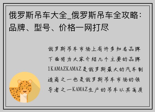 俄罗斯吊车大全_俄罗斯吊车全攻略：品牌、型号、价格一网打尽